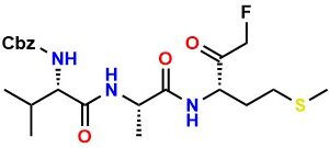 Peptide Fluoromethylketones