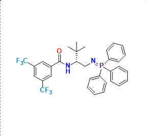 G1-R-tBu-Amide-Phenyl